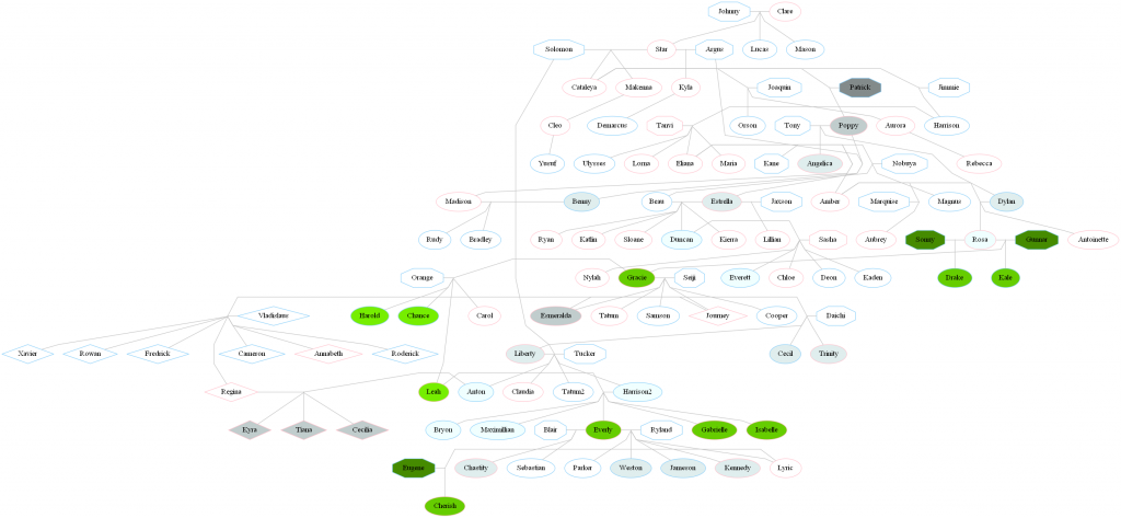 The full Marshall family lineage, from Clare to Cherish, all 14 generations and multiple families.