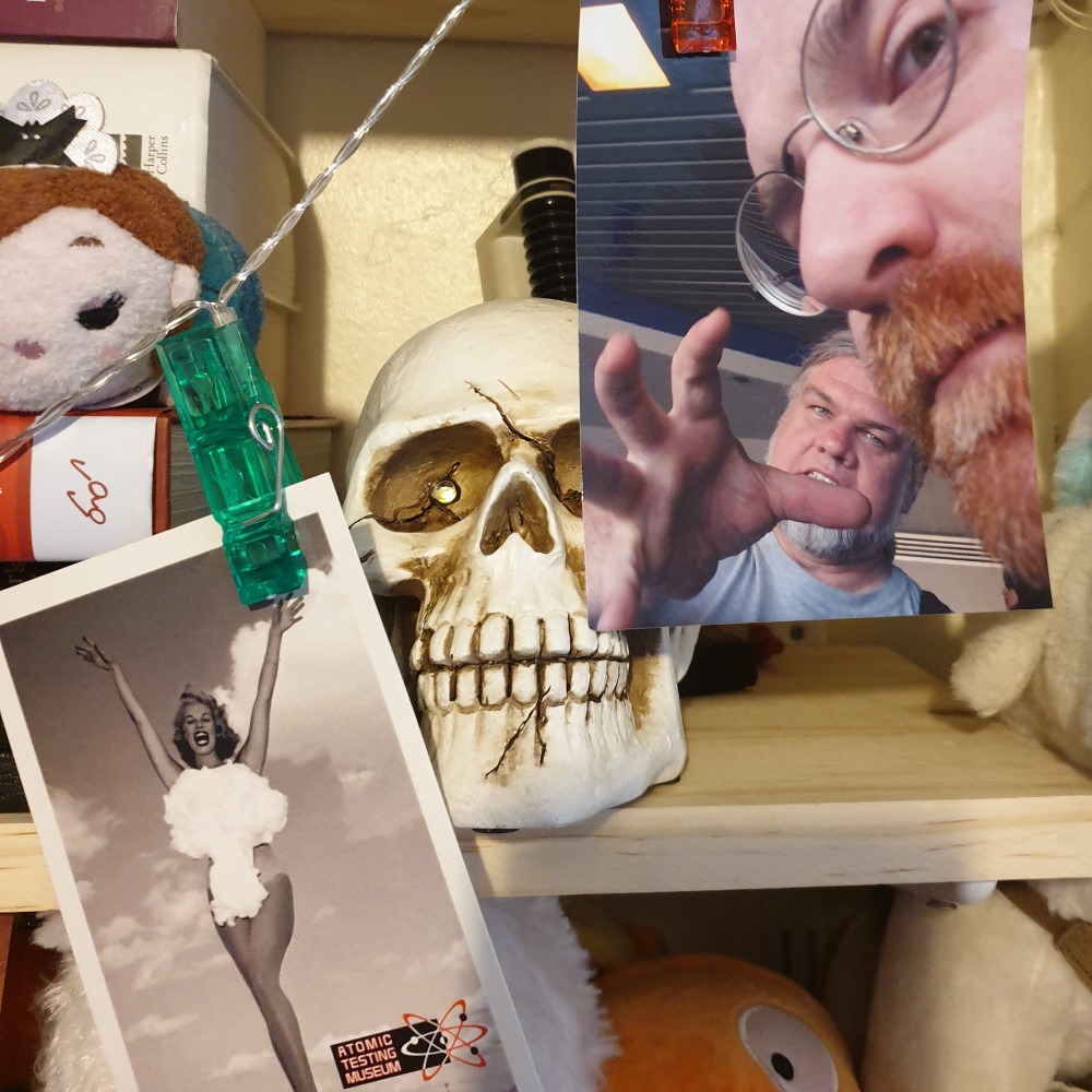 A photo and a postcard hanging off of clips with a skull on a shelf behind them